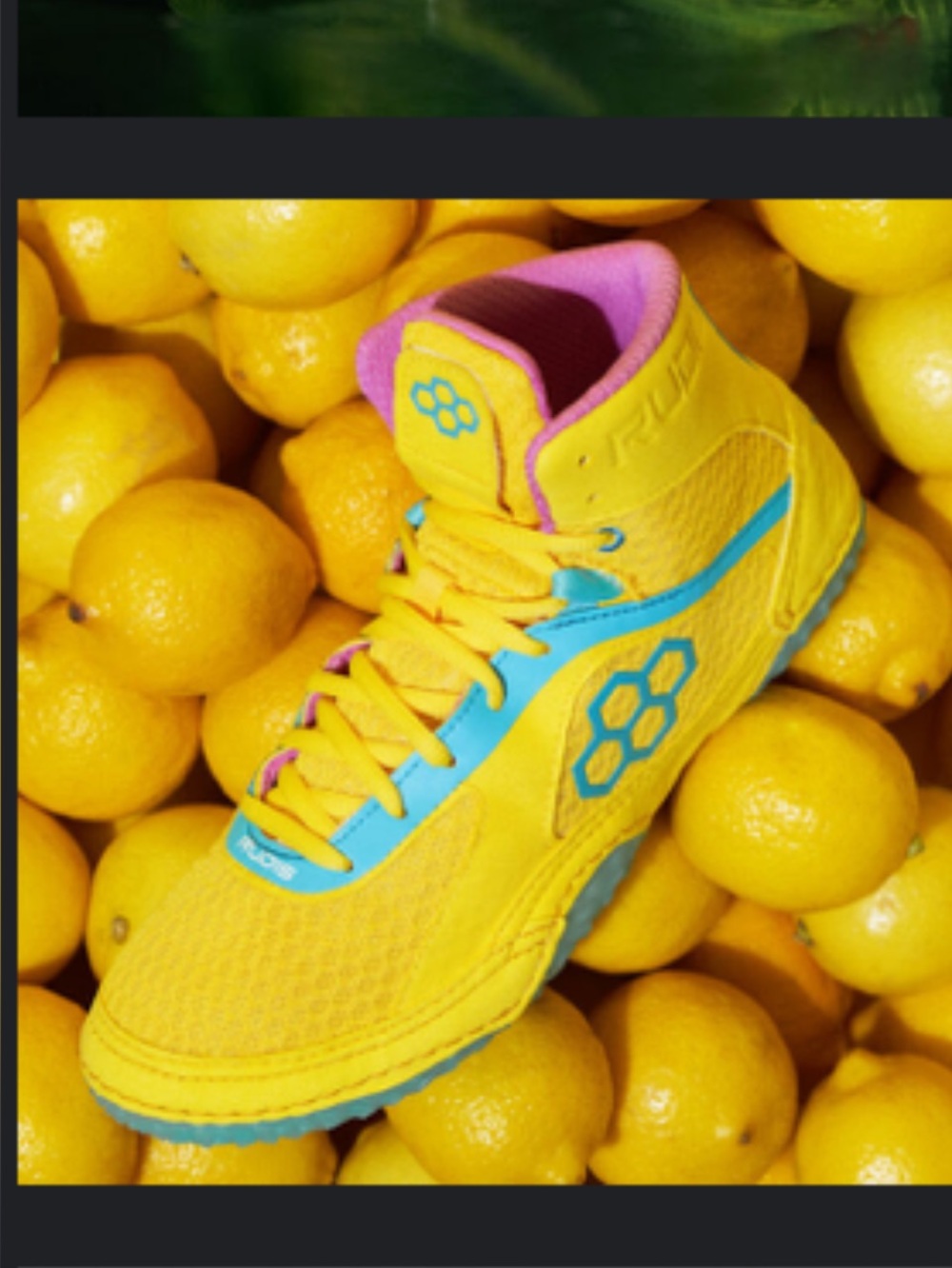 Rudis Alpha 2.0 wrestling shoes